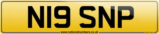 N19 SNP