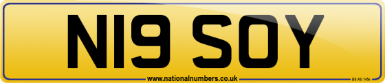 N19 SOY