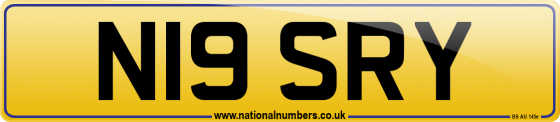 N19 SRY
