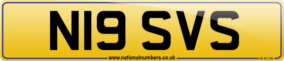 N19 SVS
