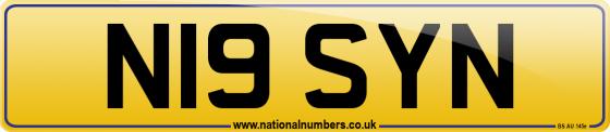N19 SYN