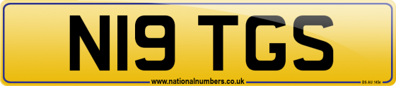 N19 TGS