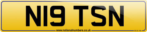 N19 TSN
