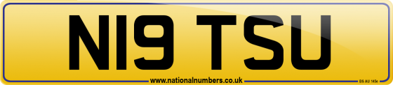 N19 TSU