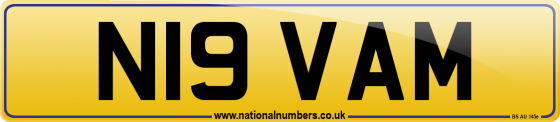 N19 VAM