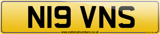 N19 VNS