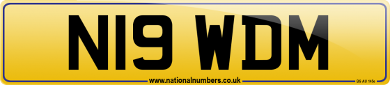 N19 WDM
