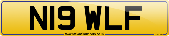 N19 WLF