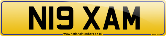 N19 XAM