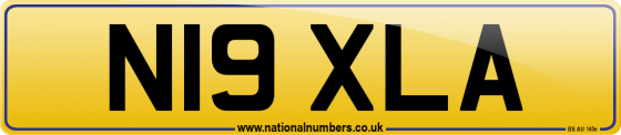 N19 XLA