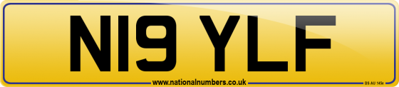 N19 YLF