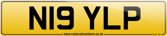 N19 YLP
