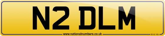 N2 DLM
