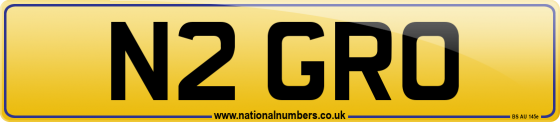 N2 GRO