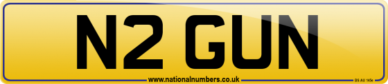 N2 GUN
