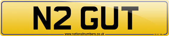 N2 GUT