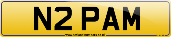 N2 PAM