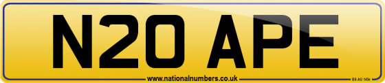 N20 APE