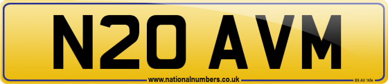 N20 AVM