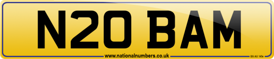 N20 BAM