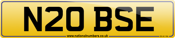 N20 BSE