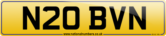 N20 BVN
