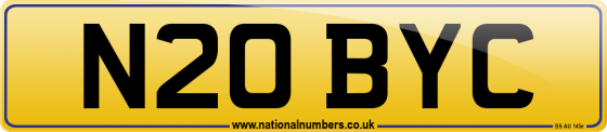 N20 BYC