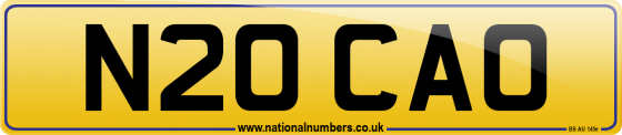 N20 CAO