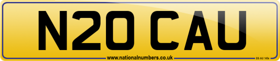 N20 CAU