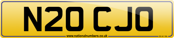 N20 CJO