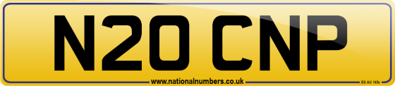 N20 CNP