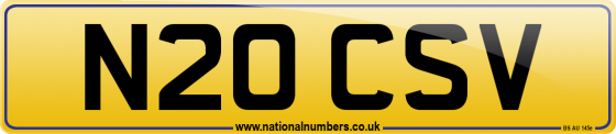 N20 CSV