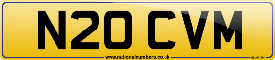 N20 CVM