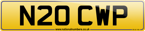 N20 CWP