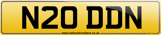 N20 DDN