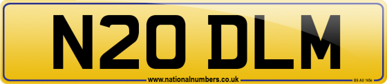 N20 DLM