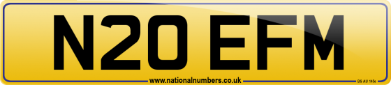 N20 EFM