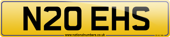 N20 EHS