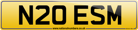N20 ESM