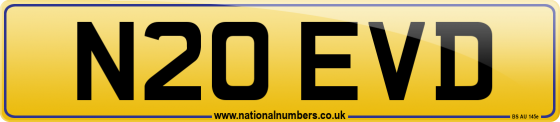 N20 EVD