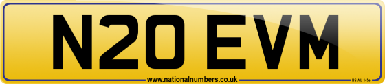 N20 EVM