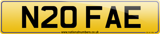 N20 FAE
