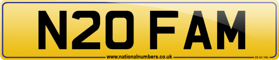 N20 FAM