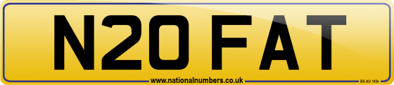 N20 FAT