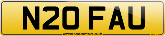 N20 FAU