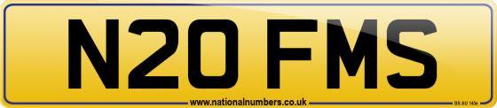 N20 FMS