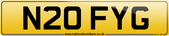 N20 FYG