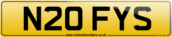 N20 FYS