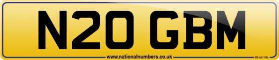 N20 GBM
