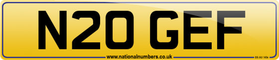 N20 GEF